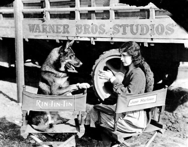 gal-warnerbros-7-jpg