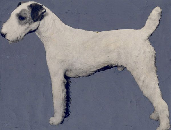 901cd377df88b8559aa31f2564fdcea2