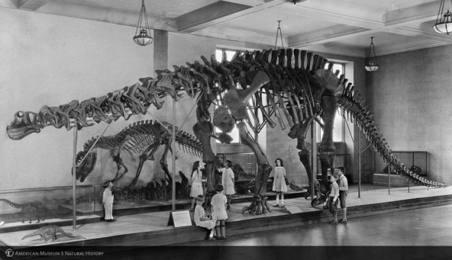 2007 METRO Project | ImageDigitizationSpecifications v1.0 | Epson Perfection V750 Pro