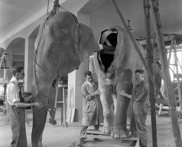 Time for a&nbsp;Facelift