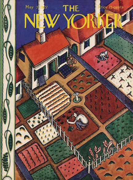 43b9e74a7197a3d27d520d251a303549