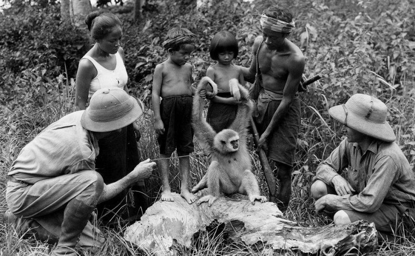 Those Restless Natives