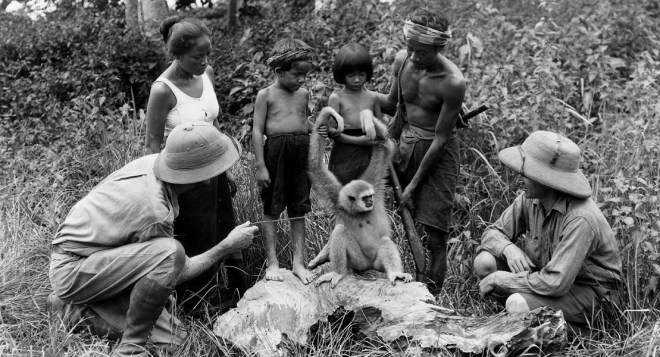 chang-criticsroundup