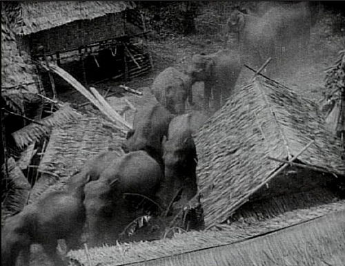 elephant-stampede-from-chang-1927