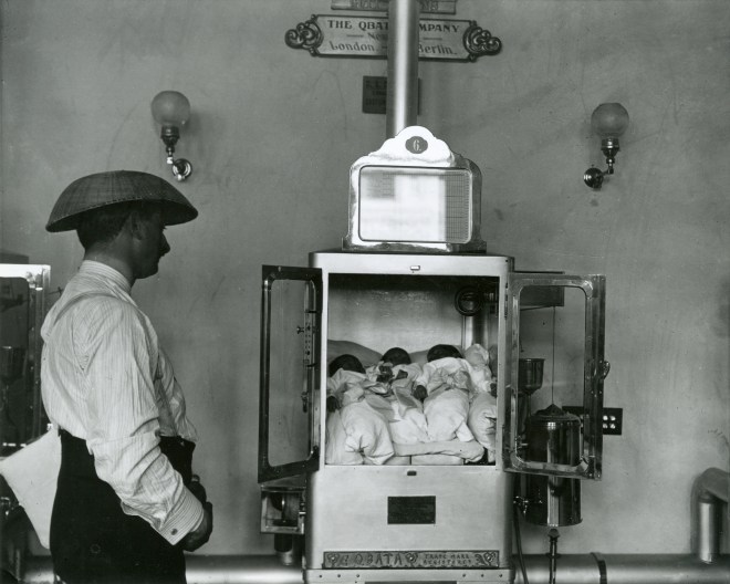 78215d_incubatorbabies_alland2502