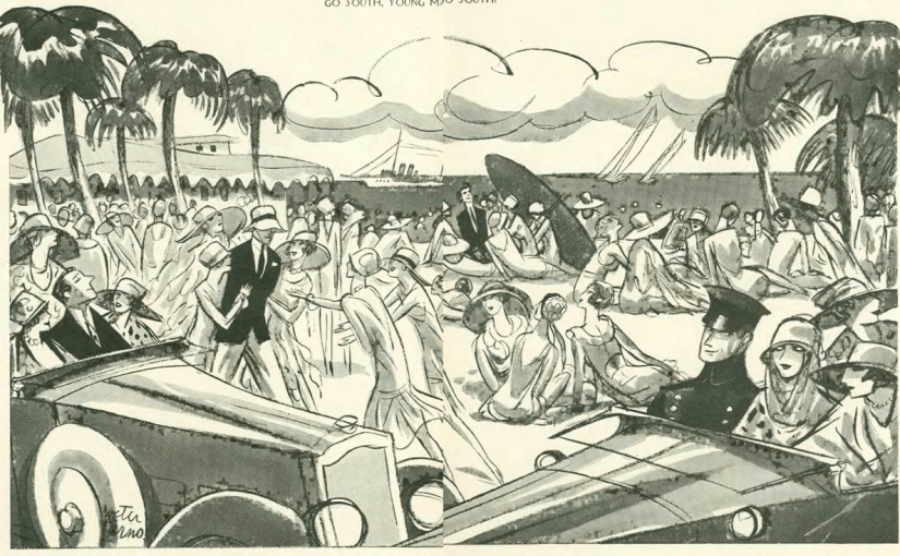 Life Among the&nbsp;Snowbirds