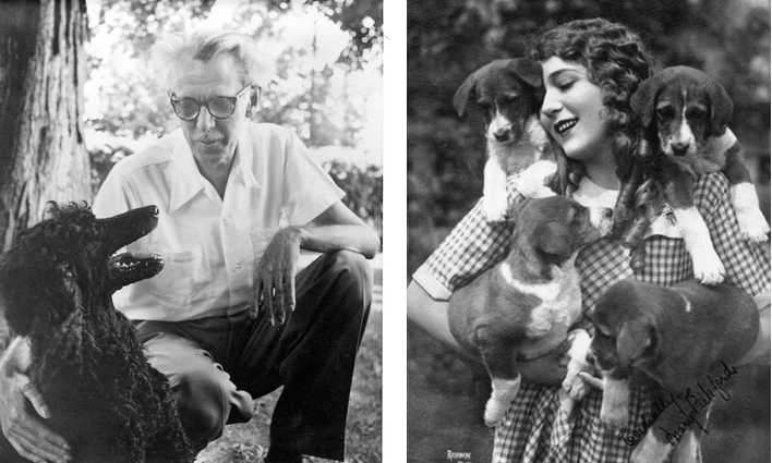 All Dogs Go To&nbsp;Heaven